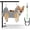 M (leg distance: 4.7-11.5" / Max W: 45lb), variant on Adjustable Dog Grooming Arm with Clamp, 26″–40″ Height, S Hammock with Back Buckle, No-Sit Grooming Restraint for Small & Medium Dogs