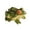 B, variant on Sunxin Desktop Ornament 2 Pcs Miniature Frog Statue Outdoor Garden Frog Figurines Decoration Mini Cute Frog Figures for Patio Yard Fairy Garden Ornaments, 2* Simulated Frog Figurines