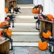 thumbnail image 5 of Decoración de cuervos de simulación - Conjunto de 5 piezas, accesorios de Todos los Santos cuervo, decoración de fiesta, decoración de Halloween, 5 of 7