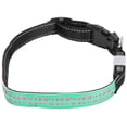 thumbnail image 2 of Garosa USB Rechargeable LED Pet Adjustable Collar Dog Lighting Night Collar Chain NEW, 2 of 8