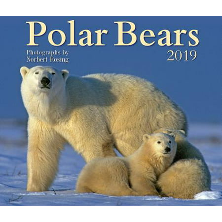 Polar Bears 2019 (Other) (Best Non Alcoholic Beer 2019)