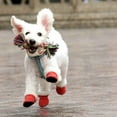 thumbnail image 2 of 4pcs Pet Cat Shoes Winter Dog Boots Warm Puppy Cat Rain Snow Booties Footwear for Small Dogs, 2 of 6