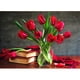 thumbnail image 1 of Diamond Painting (DB3405) Rose Full Round Rhinestone Imagen DIY 40x30cm (c1031) 40x50cm Rojo FLhrweasw Nuevo, 1 of 1