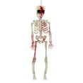 thumbnail image 1 of Esqueleto De Halloween Articulado De 40 Cm Con Huesos De Plástico Móviles, Sombrero De Copa/Capa O Efectos Desgastados Para Bares Y Fiestas (3 Estilos), 1 of 6