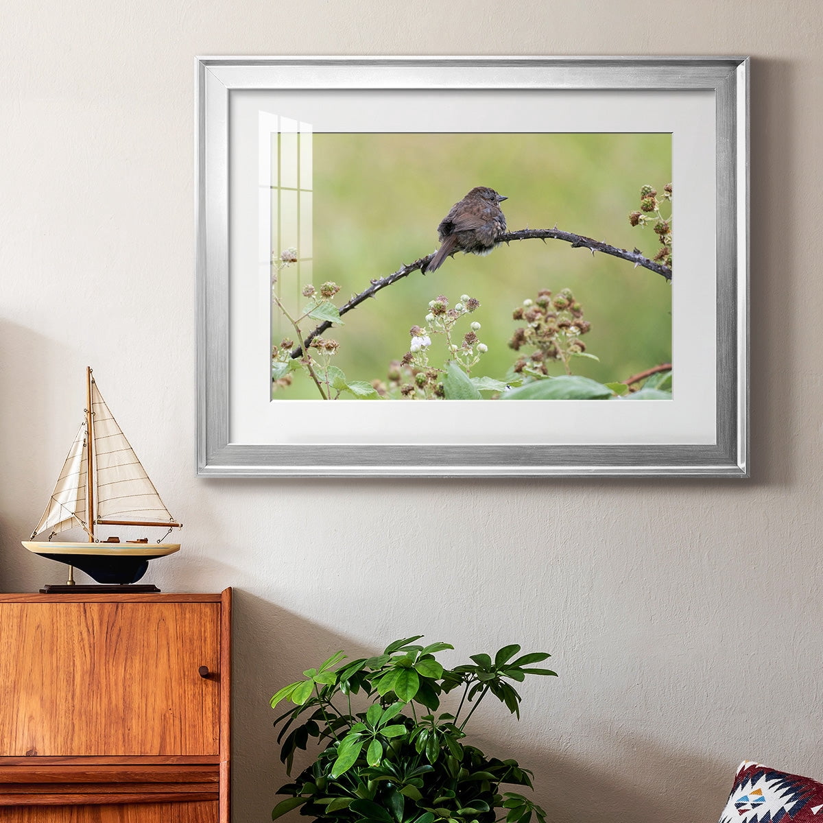 Resting Sparrow Premium Framed Print - Ready to Hang