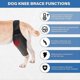thumbnail image 3 of Dog Knee Brace,dog Leg Brace Hip Support Brace For Cruciate Ligament Injuries, Ccl, Patella Dislocation Or Osteoarthritis TW,L, 3 of 5