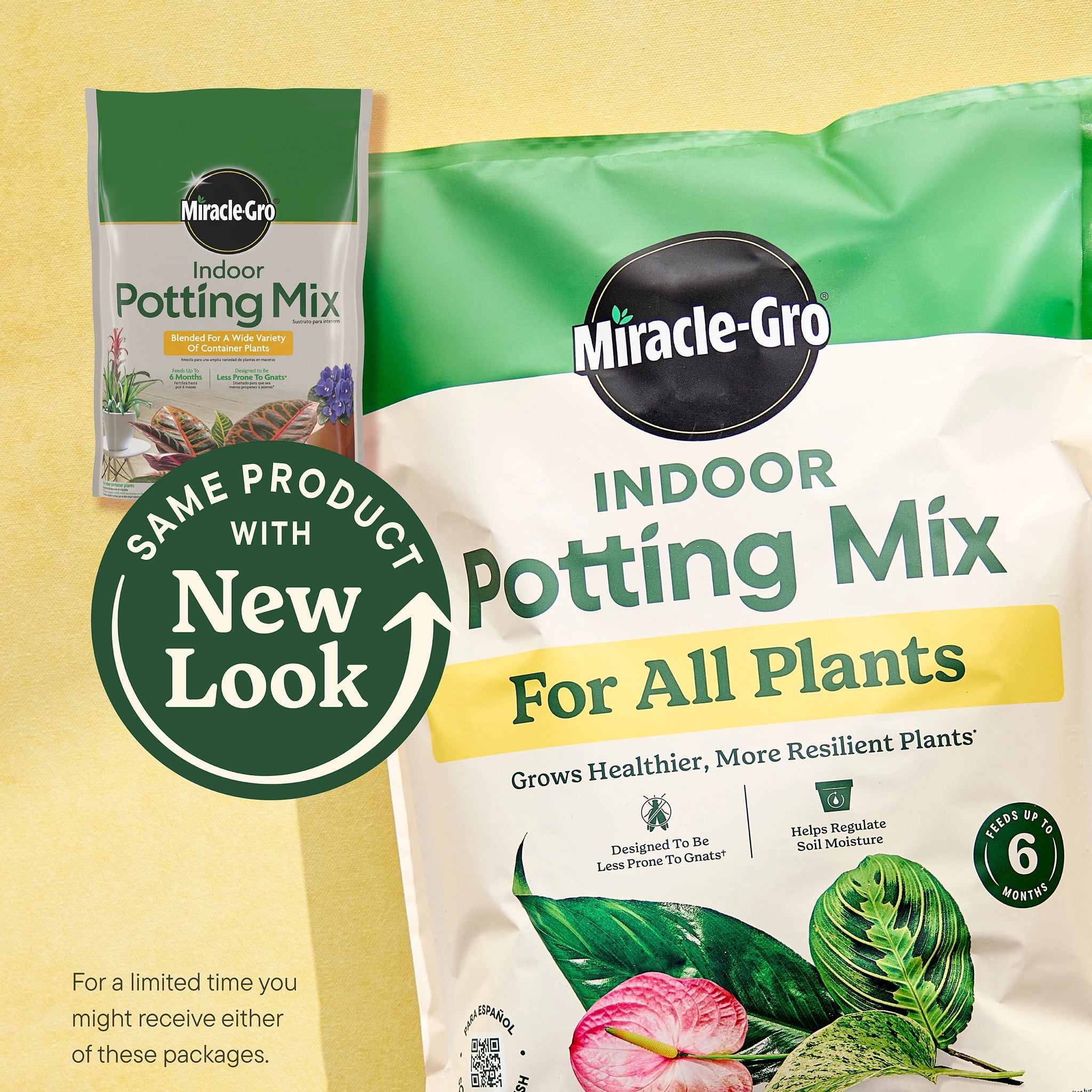 Miracle-Gro Indoor Potting Mix for All Plants, Use with Houseplants and More, 6 qt.