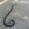 thumbnail image 2 of Serpiente de goma COTOSEY 53' juguete realista, 2 of 3