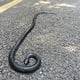 thumbnail image 2 of Serpiente de goma COTOSEY 53' juguete realista, 2 of 3