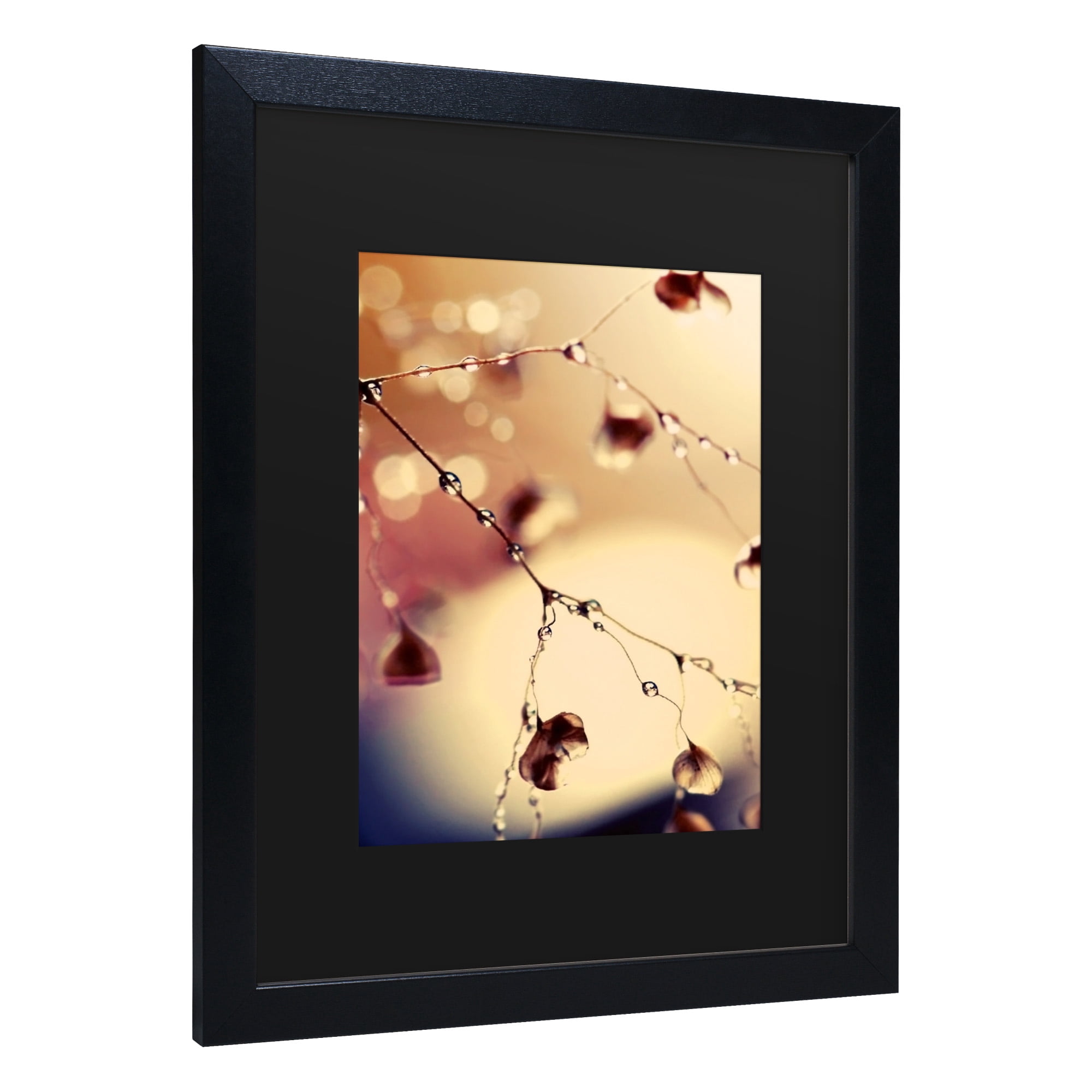 Trademark Fine Art 'Summer Concert' Canvas Art by Beata Czyzowska Young
