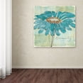 thumbnail image 4 of Trademark Fine Art "Spa Daisies I" Canvas Art by Chris Paschke, 4 of 4
