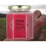 Citronella Variety 4-Pack Soy Candles Indoors and Outdoors -Just Makes Scents Candles & Gifts