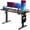Black, variant on CHITOOMA Electric Standing Desk with Storage Bag, 48" x 24" Adjustable Height Sit to Stand Desk with 4 Memory Pre-Set, Headphone Hook for Home Office, Black