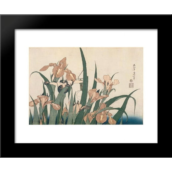 Irises and Grasshopper 20x24 Framed Art Print by Katsushika Hokusai