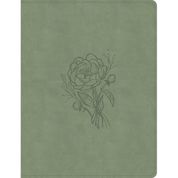 KJV Notetaking Bible, Large Print Edition, Sage Suedesoft Leathertouch, (Hardcover)