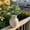 A3_12.59" Green, variant on SMKE Fake Habitat Plants,Fake Leaf Bushes,Fake Green Shrubs,Hanging Terrarium Plants,Fake Plant Branches,Artificial Greenery Foliage Bush,12.6-Inch Green DIY Leaves for Flower Arrangement,Vase Decor