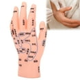 thumbnail image 1 of Modèle de Point d'Acupuncture Main Gauche Modèle de Réflexologie Main Homan Modèle d'Acupuncture Main Qualité Professionnelle, 1 of 8