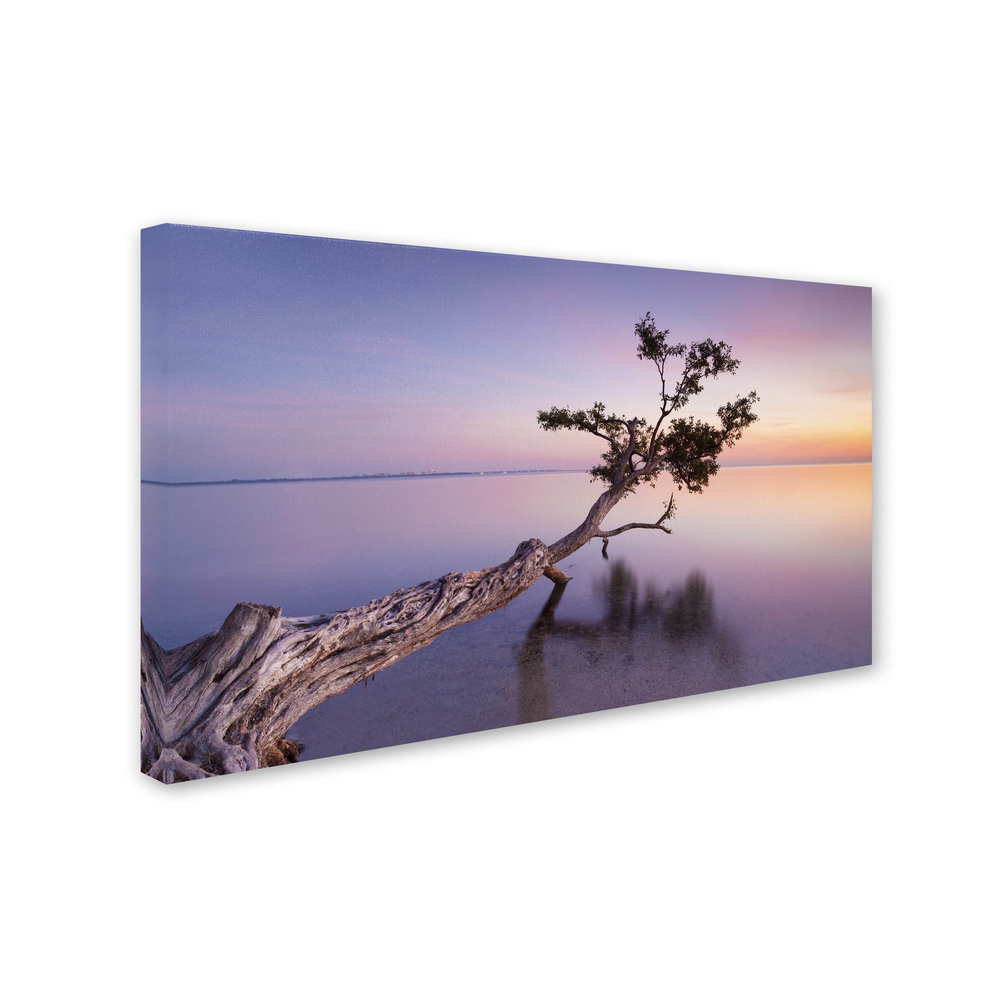 Trademark Fine Art "Water Tree XV" Canvas Art by Moises Levy