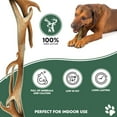 thumbnail image 2 of Antos 100% Natural SPLIT Antler Dog Chews The Hypo-Allergenic Dog Chew Like Stagbar Weight - Small 30-50g, Size May Vary, 2 of 6