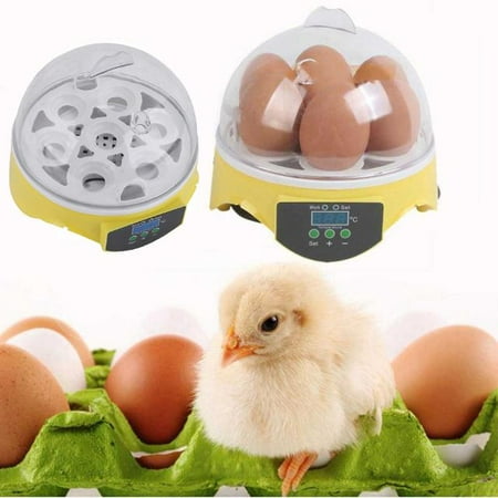 Ymiko Automatic Clear Digital Chicken Duck Bird 7 Egg Incubator Hatcher, Household 7 Small Egg Automatic