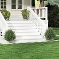 thumbnail image 2 of HOMCOM 24" Artificial Cypress Trees with Ground Stake, Set of 2, Green, 2 of 10