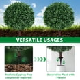 thumbnail image 4 of 2 16in Artificial Boxwood Sphere Bushes - UV Resistant, with Stakes, Porch/Planter/Indoor Decor, 4 of 8