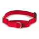 thumbnail image 1 of Petsafe Martingale Collar Para Perro Con Hebilla De Cierre, 1 of 1