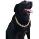thumbnail image 1 of wonima02 Gold Chain Dog Collar-3/4 width Cuban Link Dog Necklace, Cute Fashion Pet Collar for Pit Bulldog, Light Metal Jewelry Chain Puppy Accessories 23", 1 of 1