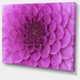 thumbnail image 2 of Large Purple Flower and Petals - Floral Canvas Art Print, 2 of 3
