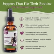 PetAlive EaseSure-S - Herbal Nervous System Support for Pets - Herbal Nervous System Drops for Dogs & Cats with Passion Flower & Ashwagandha, Pet Involuntary Muscle Movements & Twitching - 2 Fl Oz