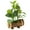 type:style3;, variant on Creative wooden pots, simulation of green plants, bonsai, household goods, small ornaments, simulation of plants, silk-printed leaves - type:style3;