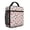 Dinosaur and Volcano-2, variant on Dinosaur and Volcano White Pattern Insulated Lunch Bag Teens,Lunch Box for Men Women for Work,Picnic or Travel,10.2x9.5x4.3 Inches,8 Can Capacity