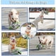 thumbnail image 3 of Juguete para Perros FRANCISCO Balón de Fútbol Estrellas con Pestañas de Agarre Duradero Interactivo, 3 of 7