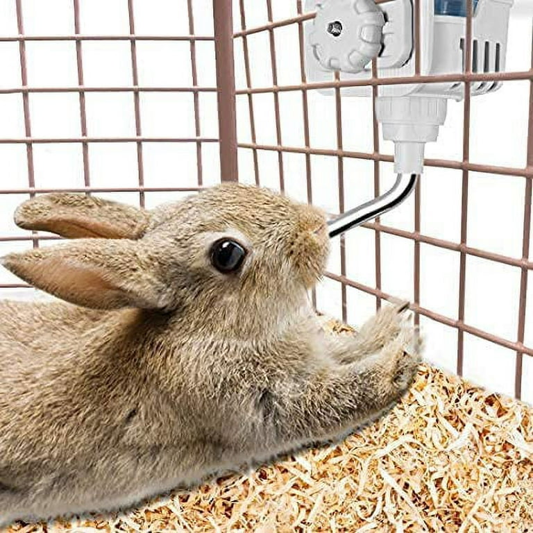 Pets at home rabbit water bottle 2025