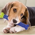 thumbnail image 5 of Dog Molar Chew Bone Toy Cleaning Teeth Molar Stick Toy Dog teeth health Self-brushing toothbrush, 5 of 6