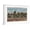 White Frame, variant on Art.com Saratoga Springs, NY - Horse Race Track Scene Art Print by Lantern Press, Black Frame Wall Art, 29" x 21"