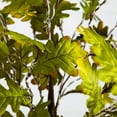 thumbnail image 2 of Nearly Natural Pre-Lit Oak Artificial Tree - 6' - Warm White LED Lights, 2 of 4