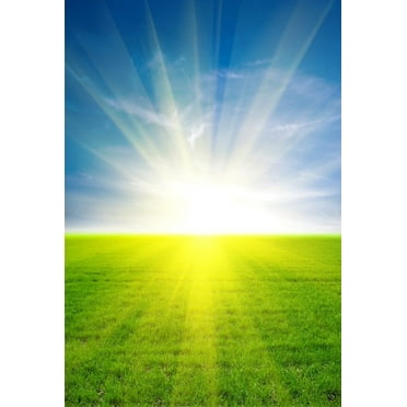 GreenDecor 5x7ft Photography Background Bright Sunshine Blue Sky Grass Lawn Backdrops Children Girl Adult Personal Art Portraits Shooting Video Studio Props