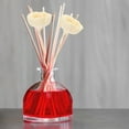 thumbnail image 4 of MIANGASTORE 10pcs Reed Diffuser Sticks Aroma Diffuser Sticks Flower Reed Sticks Fragrance Diffuser Sticks, 4 of 9