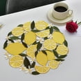 thumbnail image 4 of Apmemiss Clearance Lemon Embroidered Placemats Mat Decoration No Slip Insulation Mats Lemon Placemats Plates Mats Decoration Mats Embroidered Placemats, 4 of 6
