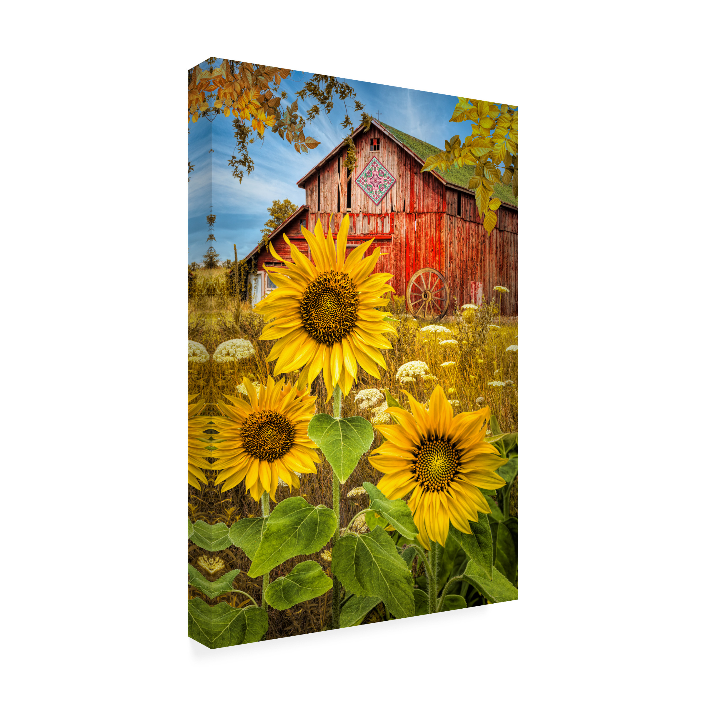 Celebrate Life Gallery 'Golden Sunflowers Red Barn' Canvas Art