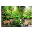 thumbnail image 2 of Tiptophomedecor Peel and Stick Forest Wallpaper Wall Mural - Humid Forest - Removable Wall Decals, 2 of 3