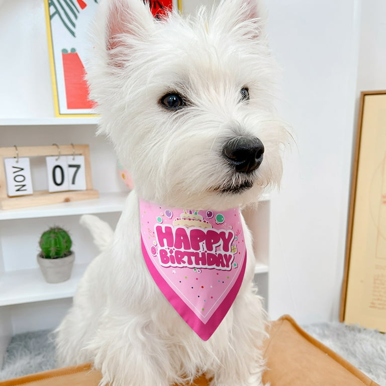 Travelwant Pet Puppy Dog Bandana with Dog Birthday Party Hat