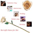 24K Gold Dipped Rose, Gold Dipped Rose Made from Real Rose Best Gifts