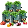 thumbnail image 2 of paquete de 4 macetas de jardín de 10 galones con asas y solapa de acceso para verduras, tomate, zanahoria, cebolla,patatas, contenedores de cultivo, bolsa de plantación de plantas ventiladas, 2 of 5