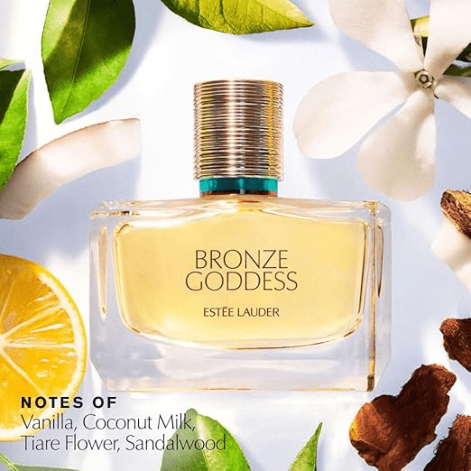 Estée Lauder Bronze Goddess EDP Spray 1.7 oz Tropical - Walmart.com