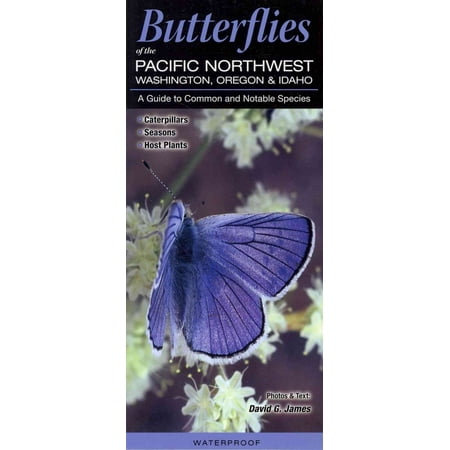 Butterflies Of The Pacific Northwest Washington Oregon