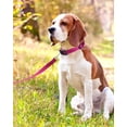 thumbnail image 2 of Minzimin 1pcs Reflective Dog Collar, Sturdy Nylon Collars for Large Girl and Boy Dogs, Adjustable Dog Collar with Quick Release Buckle, 2 of 6