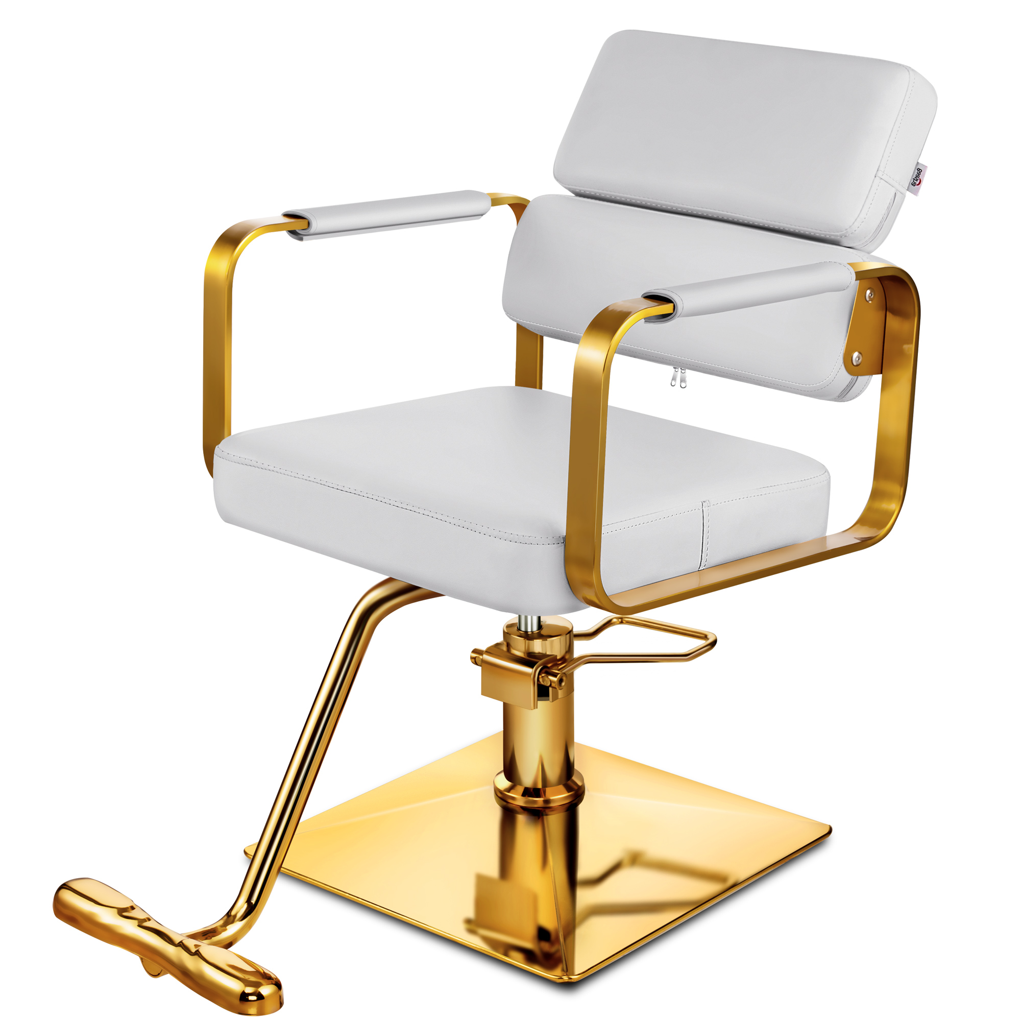 Baasha Salon Chair, Gold Salon Chair for Hair Stylist, HeavyDuty
