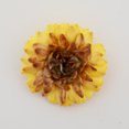 thumbnail image 3 of Dried Flowers Flower Bouquet Dried Flowers Natural Dried Flowers Decorative Bouquet Dried Natural Dried Flowers Embossed DIY Preserved Flowers Floral Decoration, 3 of 4